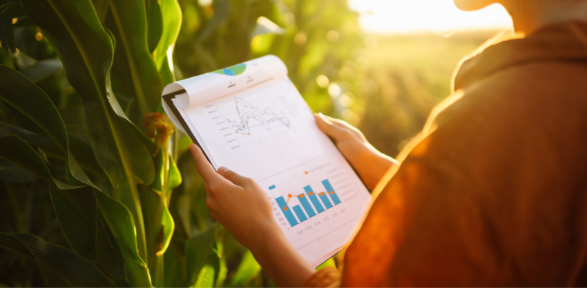 Gestão Financeira no Agronegócio